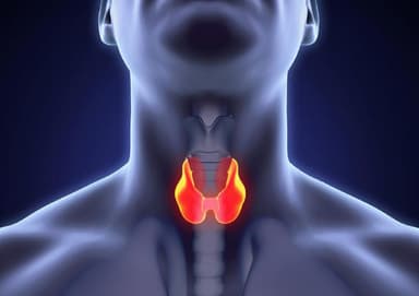 U tuyến giáp nằm ở vị trí nào và các phương pháp điều trị