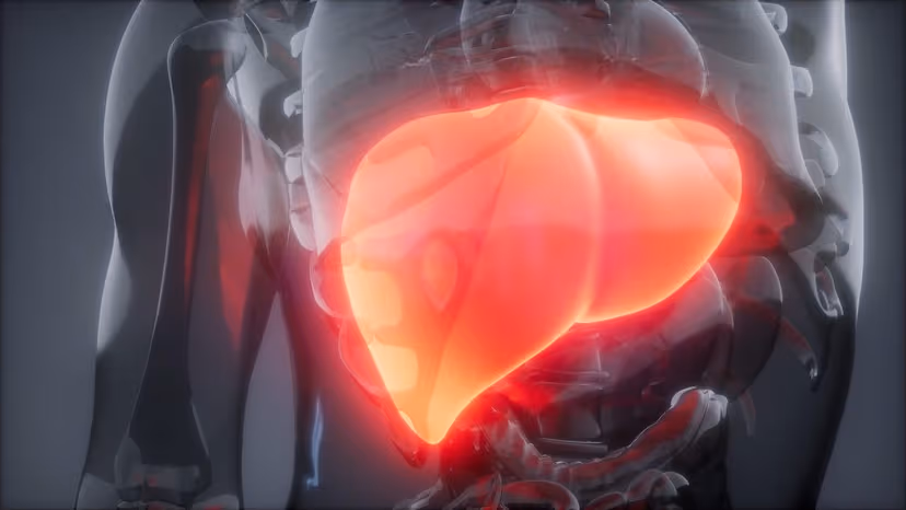 Men gan tăng: Nguyên nhân, triệu chứng và cách điều trị