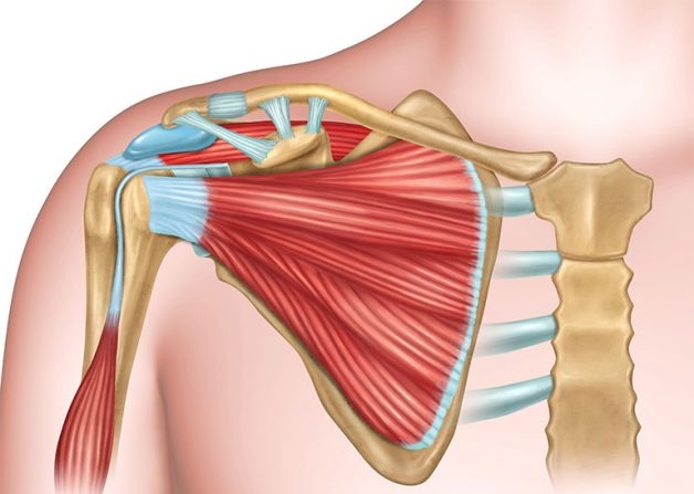Tìm hiểu về phương pháp mổ thay thế khớp vai?