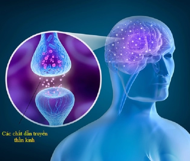 phòng bệnh parkinson cần hiểu đúng nguyên nhân