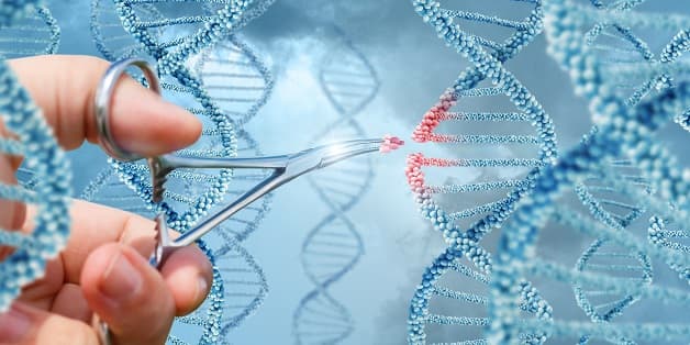 Liệu pháp gen trong điều trị ung thư vú