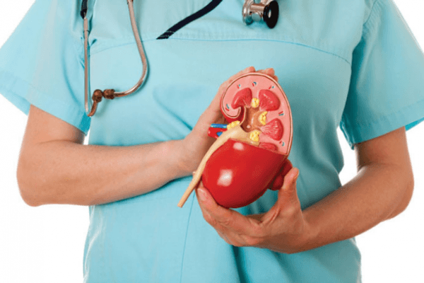 Chế độ dinh dưỡng cho người bị sỏi thận