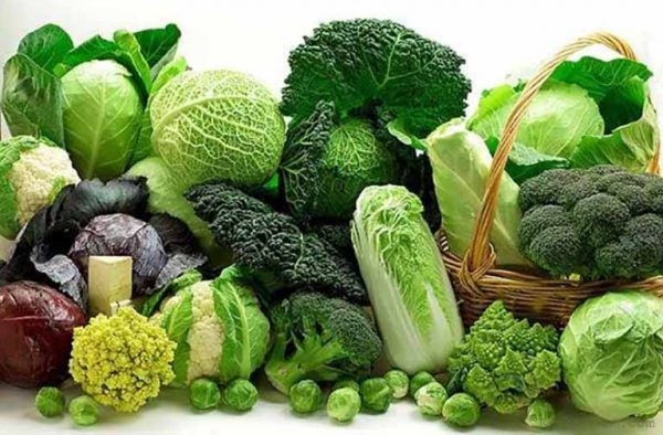 u xơ phì đại tuyến tiền liệt nên ăn gì?