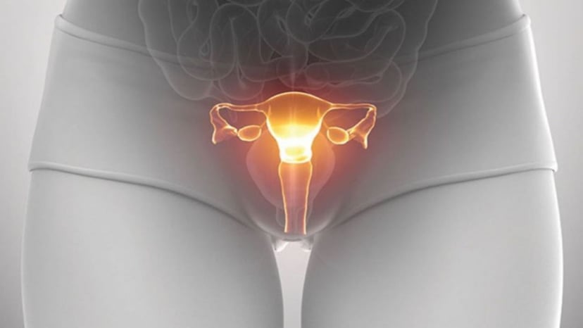 Chữa viêm tuyến Bartholin mãn tính như thế nào cho hiệu quả?