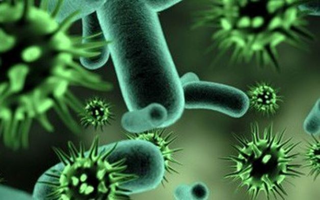 Vi khuẩn và virus là nguyên nhân chính gây ra bệnh này, vi bị tấn công sẽ khiến hệ hô hấp bị suy yếu và gây ra viêm amidan.