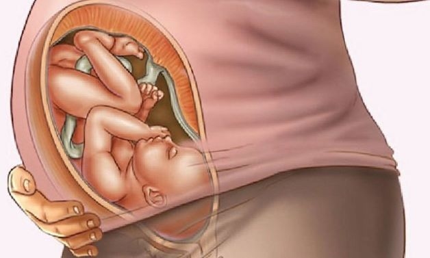Ngôi thuận là khi thai nhi ở tư thế chúc đầu xuống âm hộ của mẹ, gáy hướng lên phía bụng và mông hướng về ngực của mẹ.