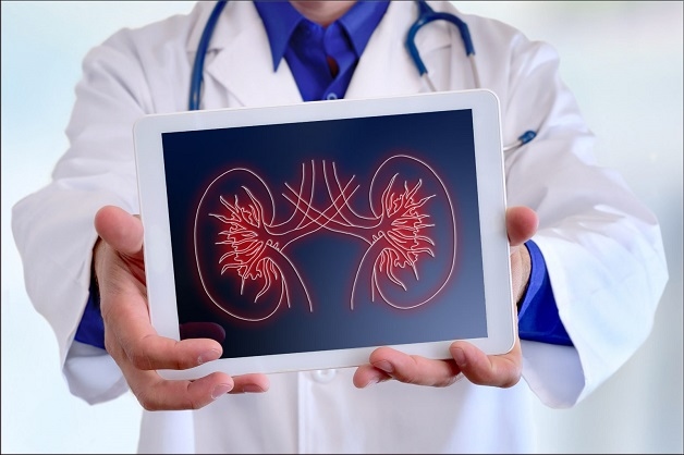 Nguyên nhân sỏi thận do chế độ ăn uống