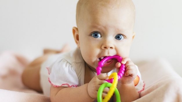 Trẻ nhỏ mọc răng cũng có thói quen cắn hoặc gặm các đồ vật xung quanh bởi lúc này trẻ đang cảm thấy ngứa răng và khó chịu ở nướu răng.