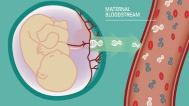Vì sao cần làm xét nghiệm sàng lọc NIPT trong thai kỳ