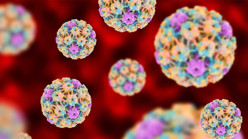 Tư vấn thắc mắc: Bị nhiễm HPV có quan hệ được không?