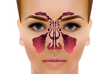 Tìm hiểu về bệnh viêm xoang và cách trị xoang mũi