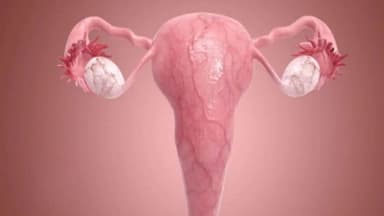 Bật mí phương pháp điều trị tốt nhất khi bị tắc vòi trứng