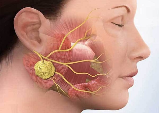 vai trò của siêu âm