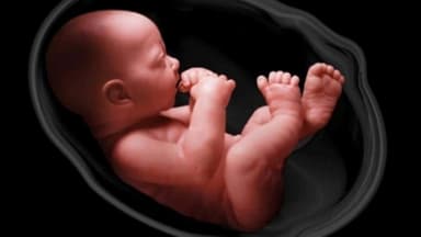 Xét nghiệm sàng lọc và những dị tật thai nhi có thể mắc phải