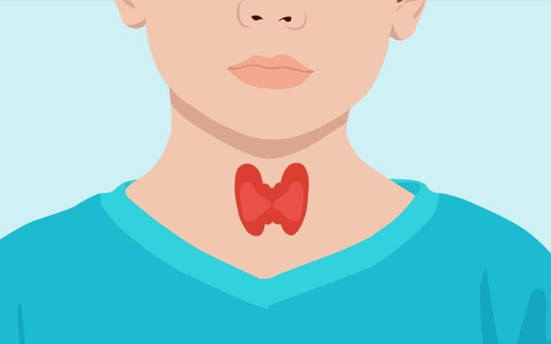 Gói khám sàng lọc tuyến giáp cho trẻ từ 7 đến 15 tuổi