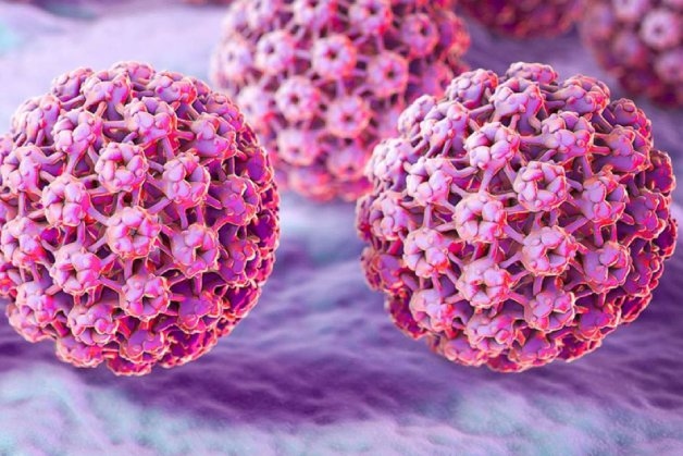 tầm soát ung thư cổ tử cung hpv