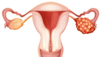 Giải đáp: Tầm soát ung thư buồng trứng bằng cách nào?