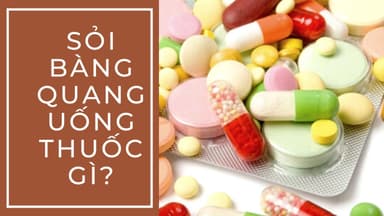 Sỏi bàng quang uống thuốc gì và những lưu ý sử dụng thuốc
