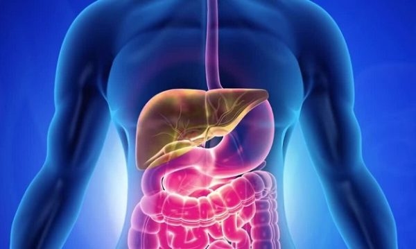 Biểu hiện của gan nhiễm mỡ tiến triển âm thầm