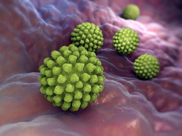 Rotavirus là virus gây tiêu chảy cấp phổ biến nhất ở trẻ