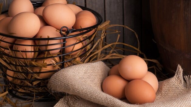 Trứng là một trong những dị nguyên thực phẩm phổ biến của bệnh hen