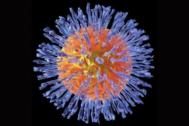 Virus Varicella – Zoster là nguyên nhân phát sinh thủy đậu