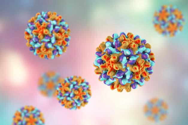 Theo chuyên gia, nguyên nhân hình thành viêm gan B được xác định là do virus viêm gan B hay virus HBV.