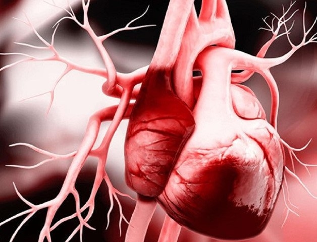 Điều trị suy tim cấp - cấp cứu sốc tim