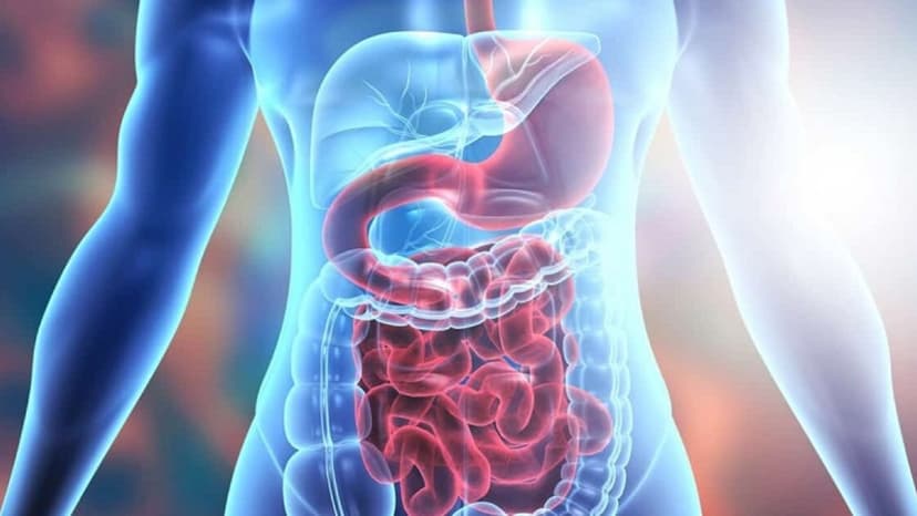 Phương pháp chẩn đoán hình ảnh hệ tiêu hóa bạn nên biết