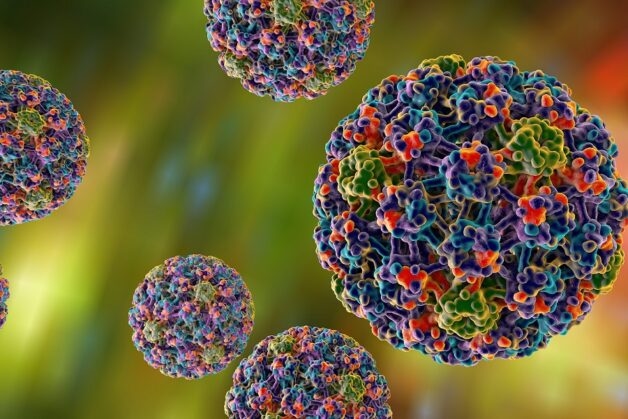 Nguyên nhân dẫn đến ung thư cổ tử cung được xác định là Human Papillomavirus hay HPV.