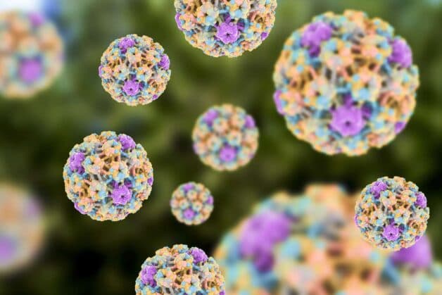 HPV hay Human Papillomavirus là nguyên nhân phát sinh ung thư cổ tử cung.