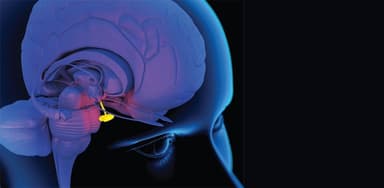 Dấu hiệu suy tuyến yên và cách điều trị