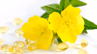 U xơ tử cung có uống được tinh dầu hoa anh thảo không?