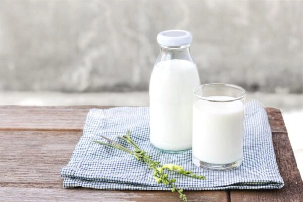 Trào ngược dạ dày có nên uống sữa