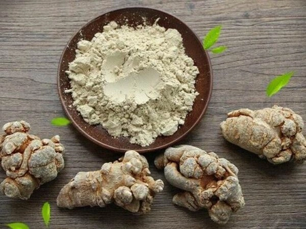 Trào ngược dạ dày có nên uống tam thất