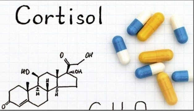 Collagen giúp giảm nồng độ cortisol