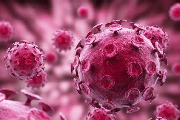virus hpv