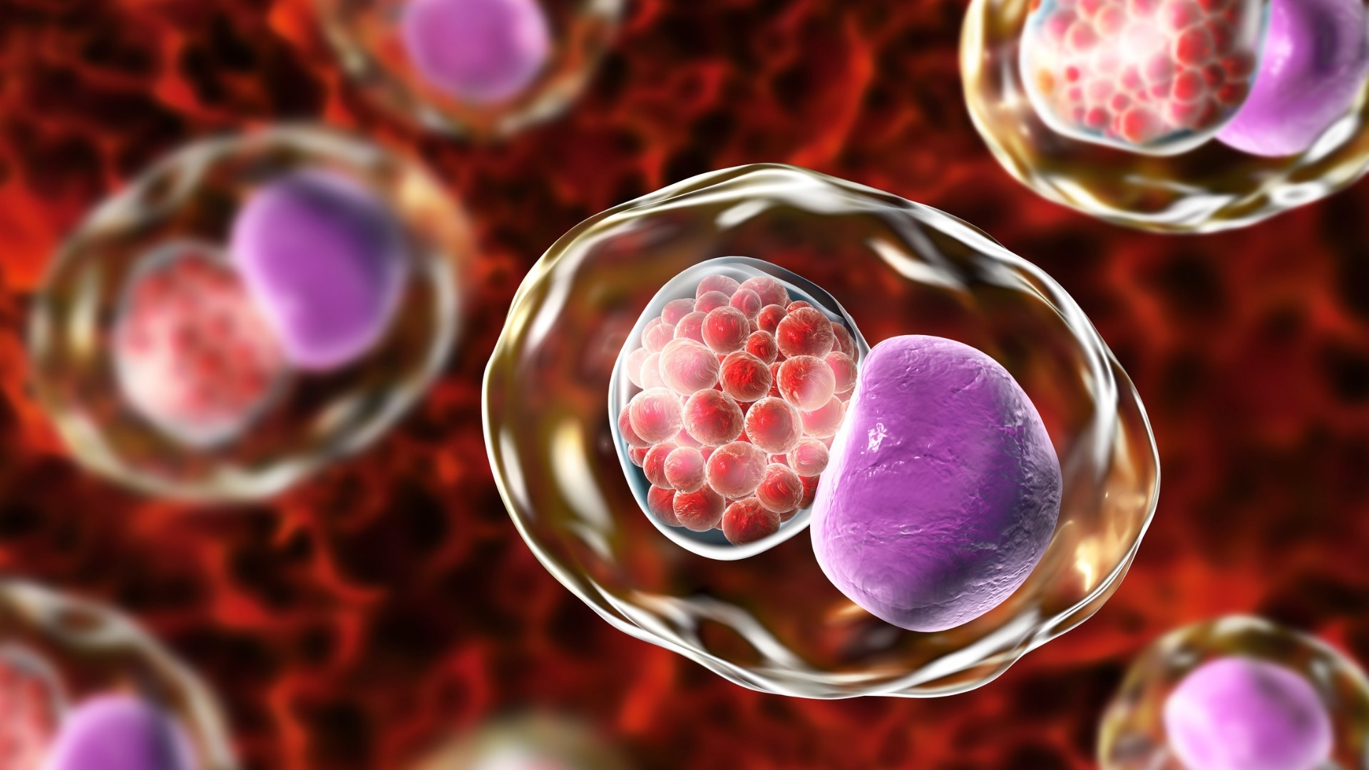 Chlamydia là một trong các bệnh lây qua đường tình dục