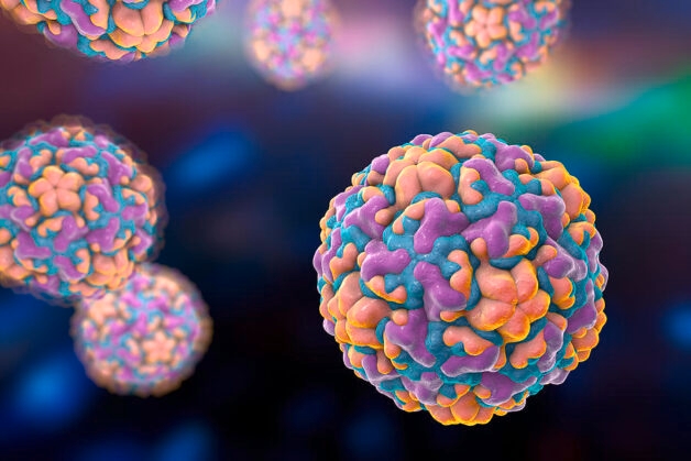 Có nhiều virus có thể gây cảm lạnh, tuy nhiên, Rhinovirus vẫn là virus gây cảm lạnh phổ biến nhất.