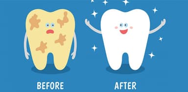 Làm sạch mảng bám trên răng không khó như bạn tưởng