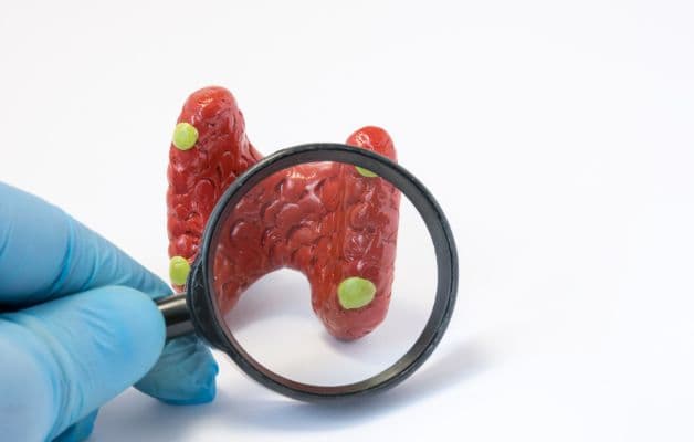 Tuyến cận giáp là những chấm nhỏ màu vàng trên tuyến giáp