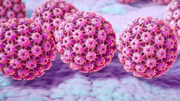 Tìm hiểu về HPV