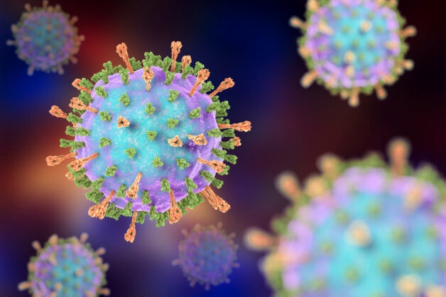 Nguyên nhân phát sinh viêm thanh khí phế quản trong 75% các trường hợp là virus á cúm – Parainfluenza, tuýp 1, 2 và 3; đặc biệt là tuýp 1.