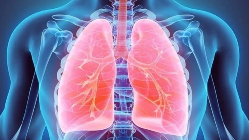 Bệnh COPD và những loại thực phẩm cần lưu ý