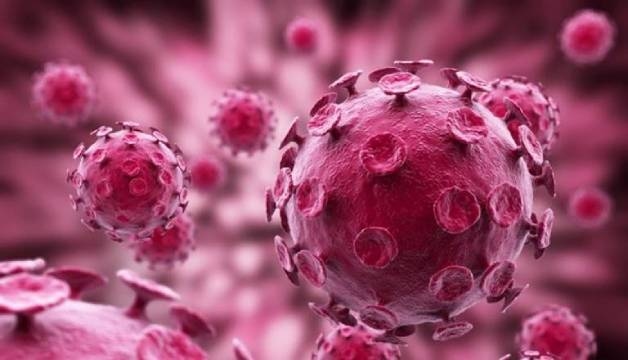 Trang bị những kiến thức quan trọng về phòng ngừa HPV cho trẻ nhỏ