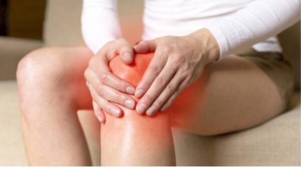 Vị trí của sụn chêm