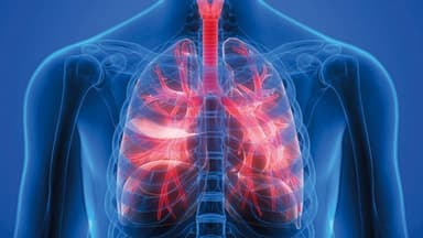 Tìm hiểu về bệnh tắc nghẽn phổi mãn tính và cách phòng ngừa