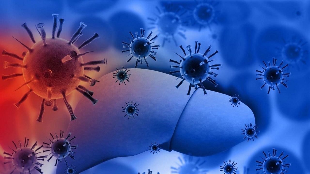 Viêm gan A là bệnh do virus viêm gan A (HAV) thường lây qua đường tiêu hóa