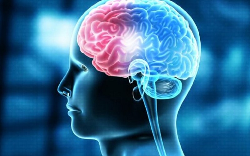 lợi ích của vitamin b1