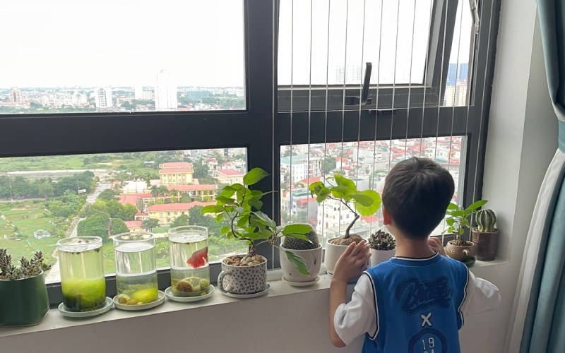 trẻ còi xương do đâu
